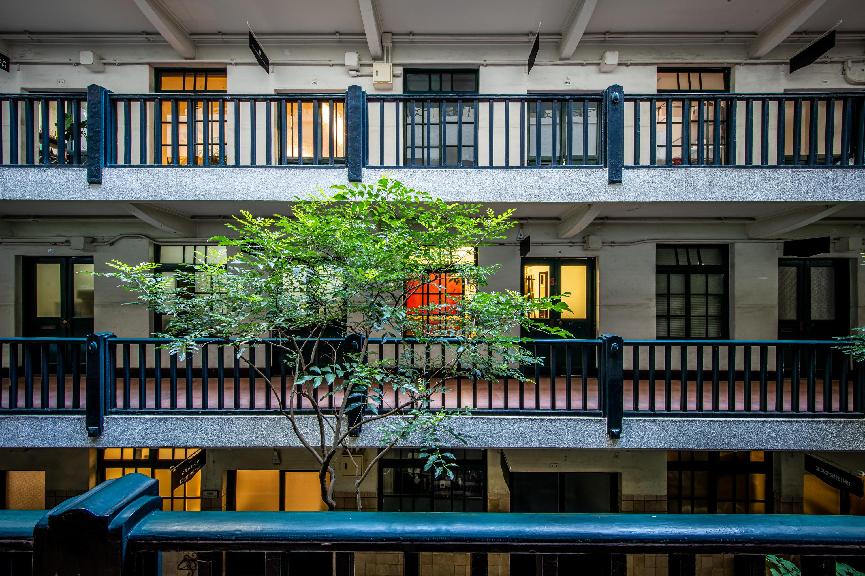 インタビュー画像